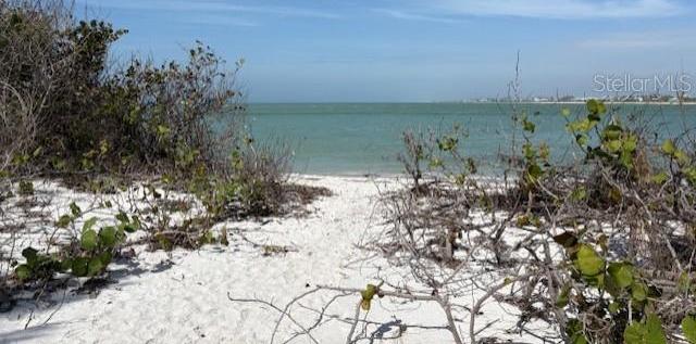 Photo #46