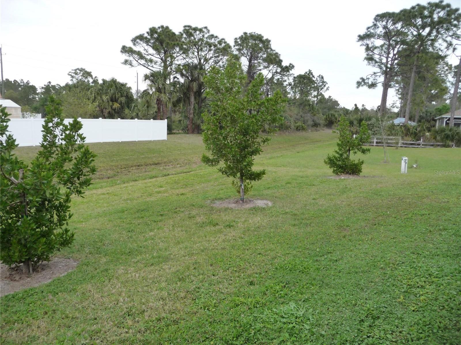 Photo #25