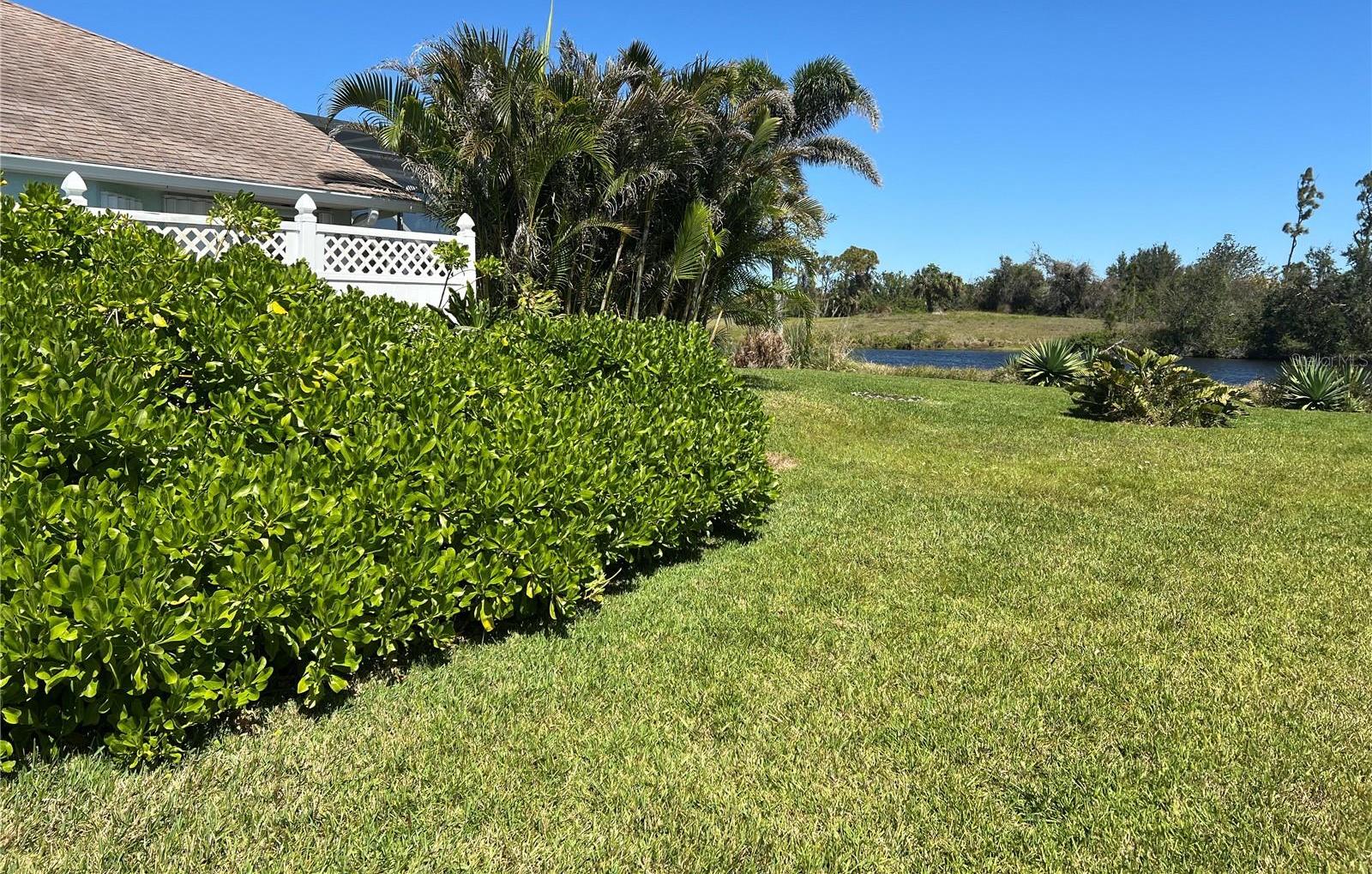 Photo #38