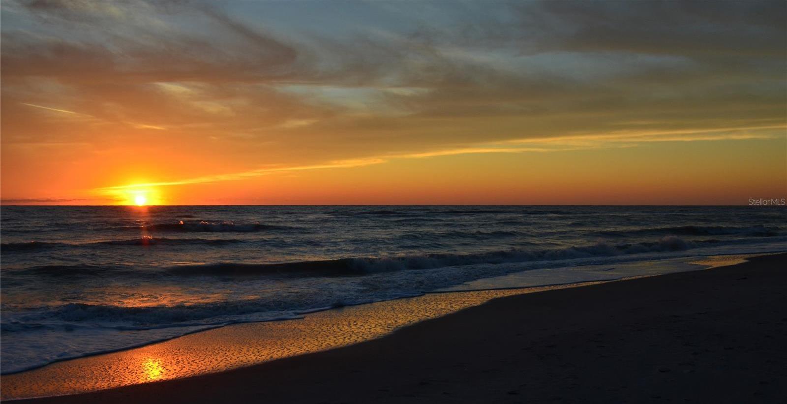 Photo #40