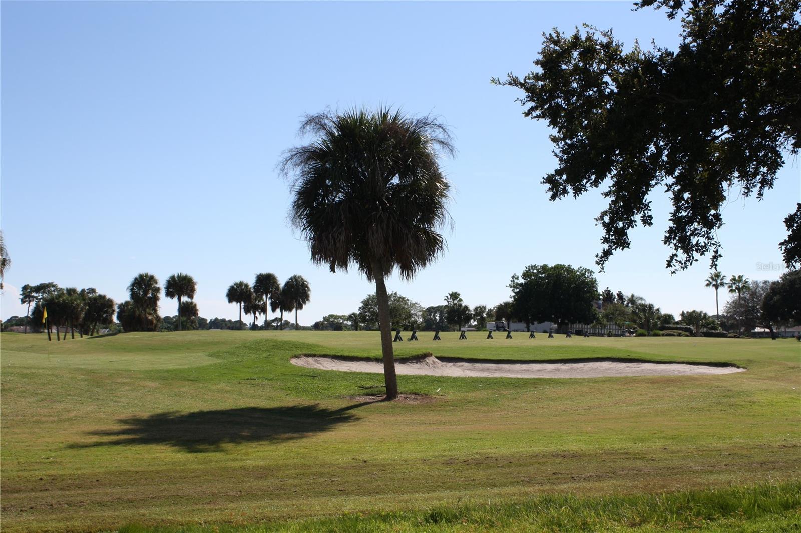 Photo #56