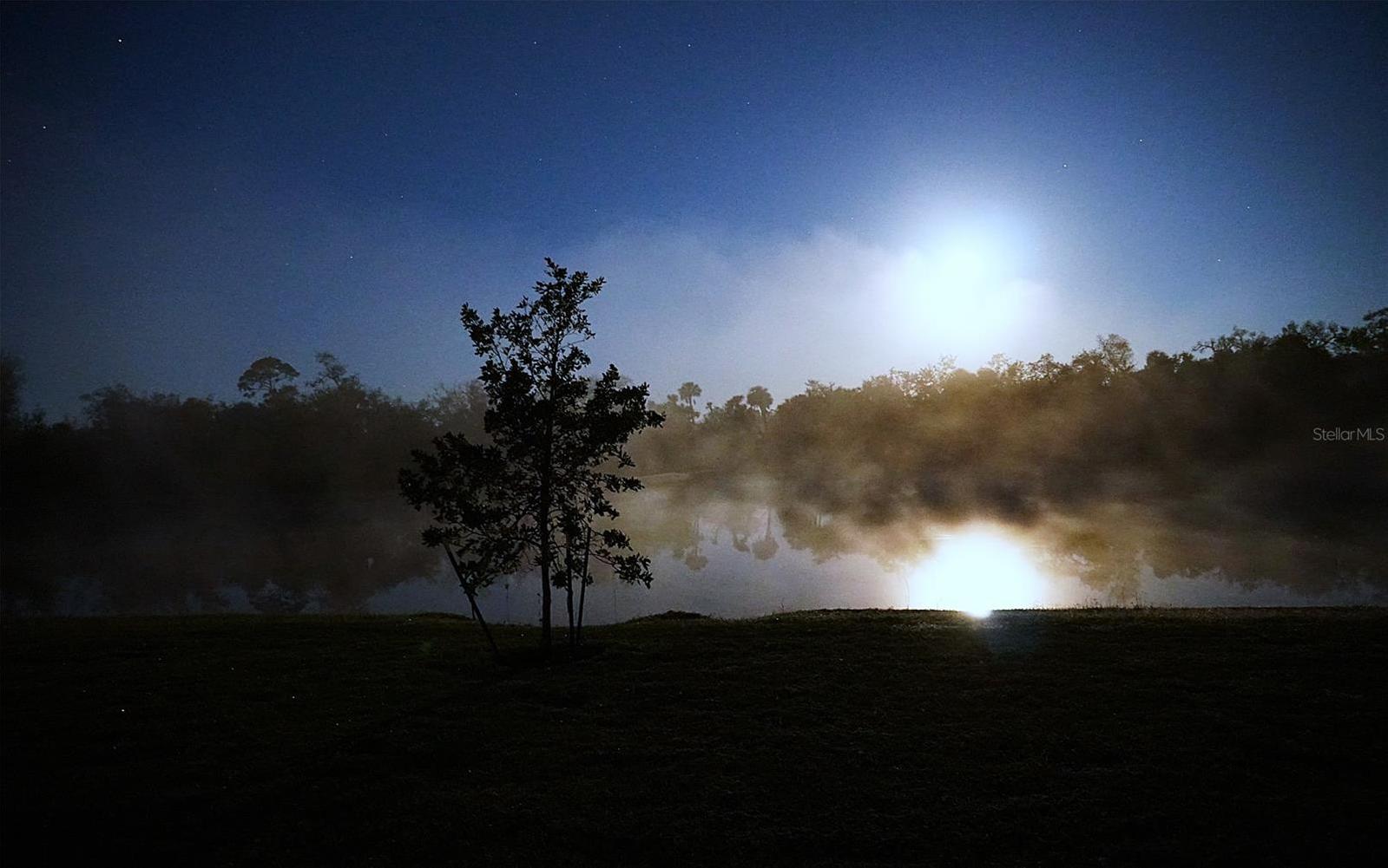 Photo #41