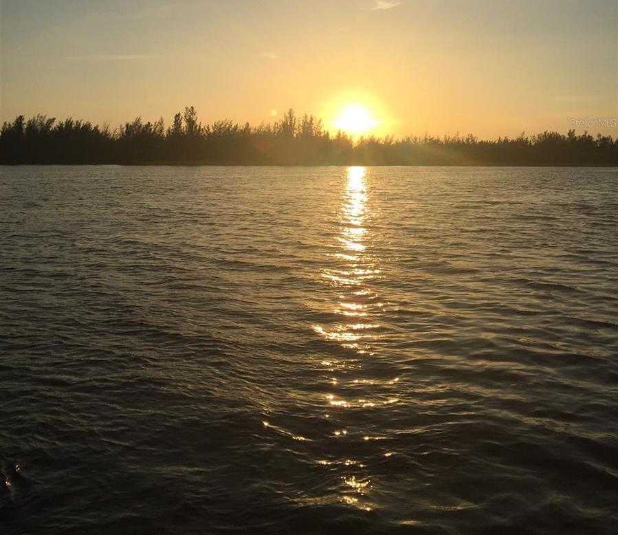 Photo #56