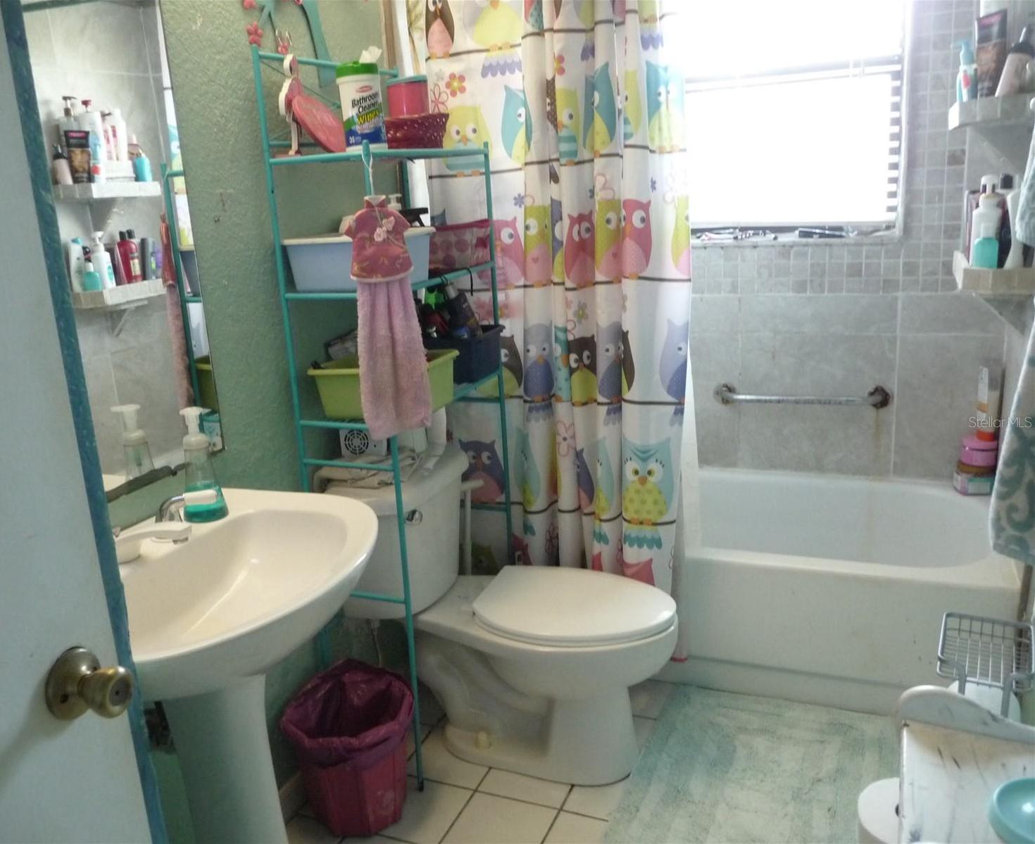 Photo #19