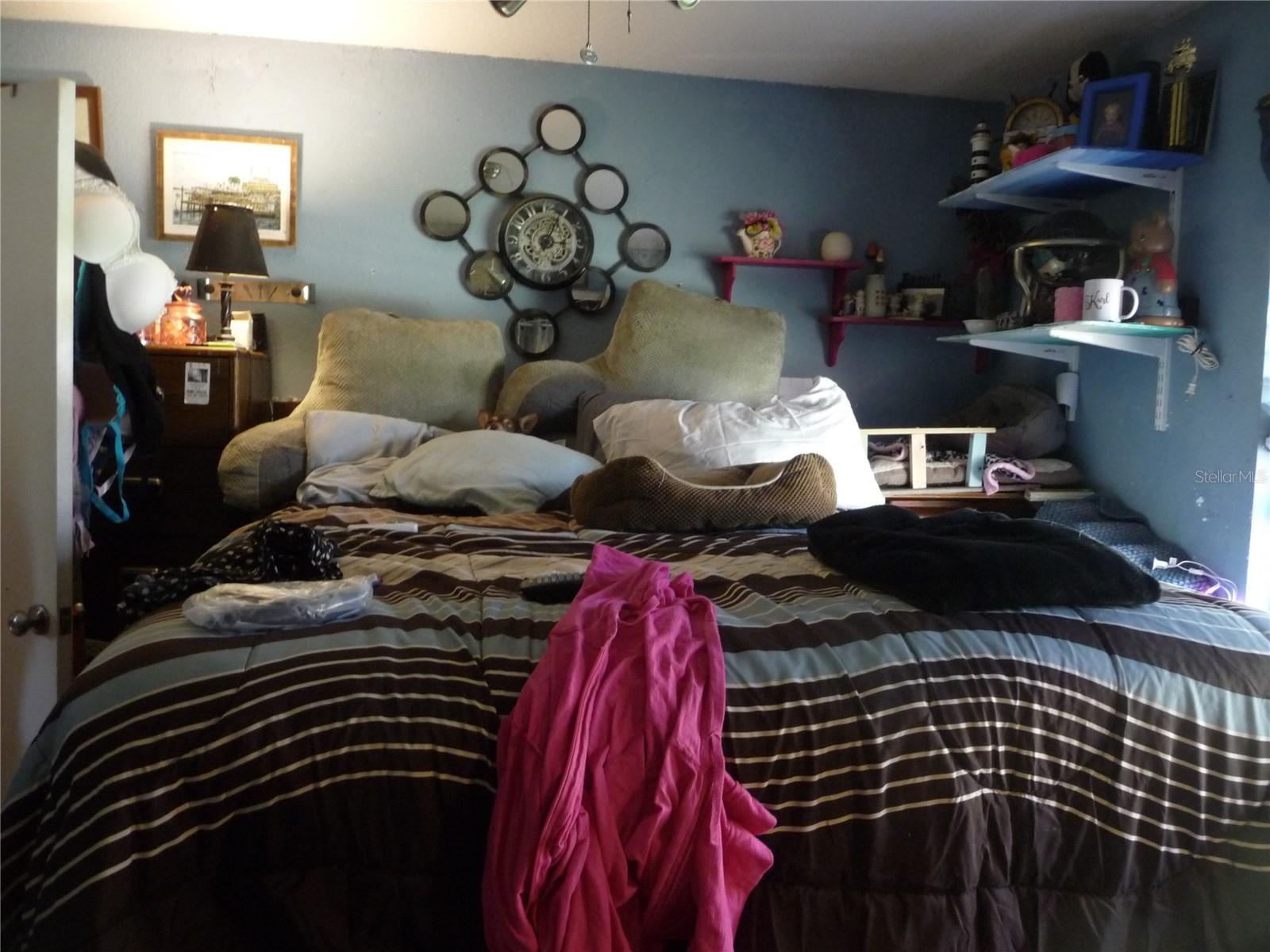 Photo #21