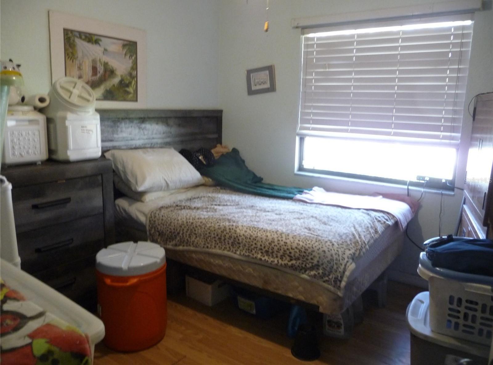 Photo #18
