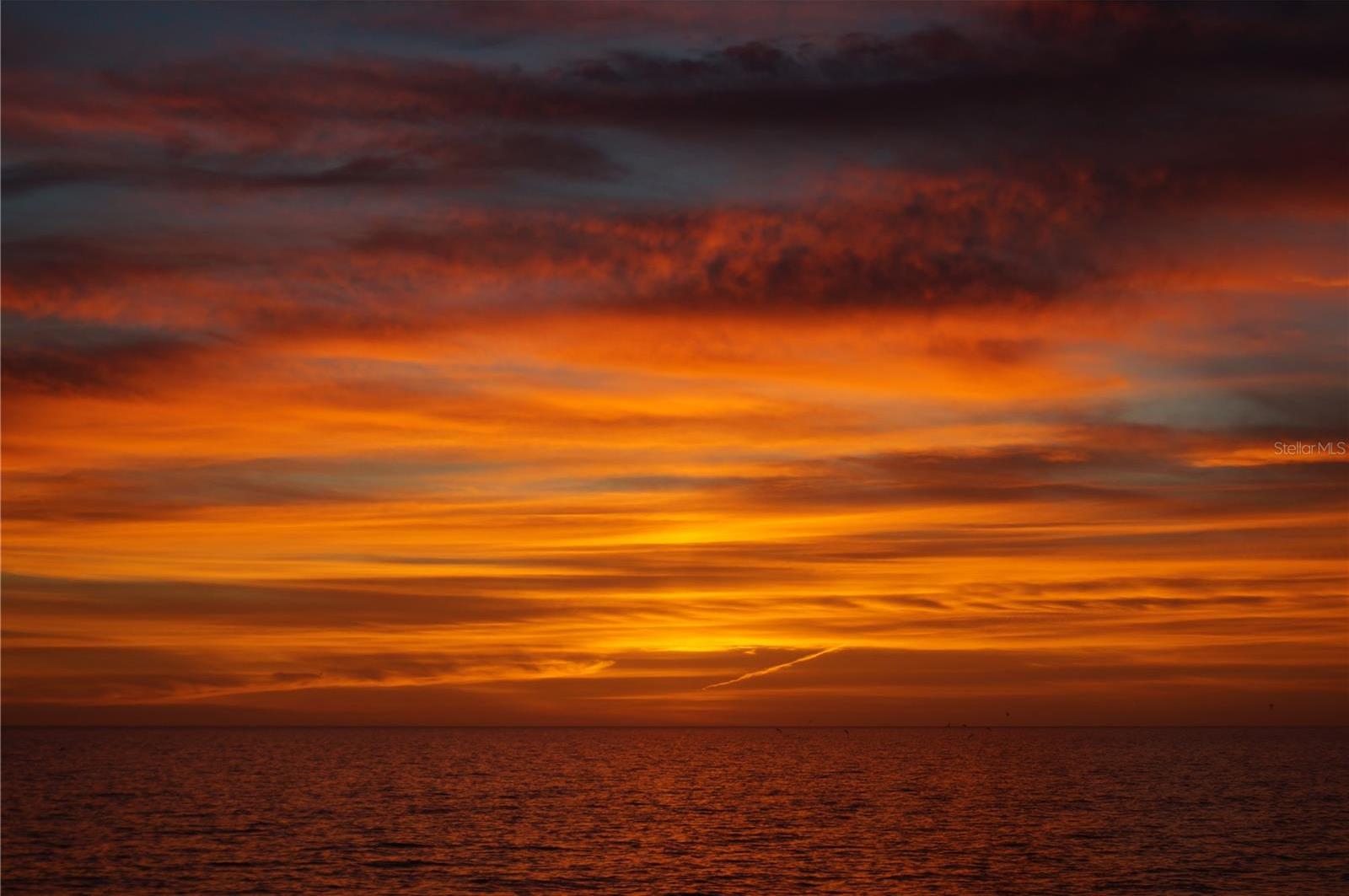 Photo #54