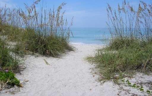 Photo #33