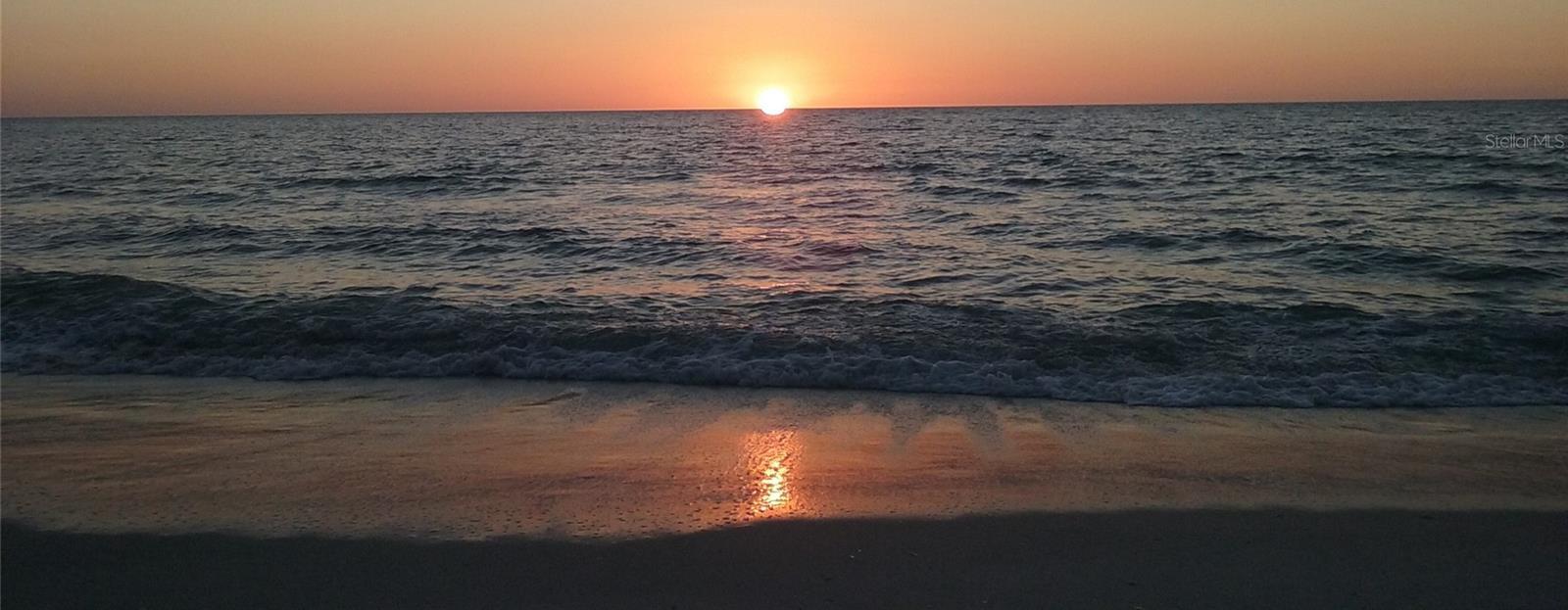 Photo #51