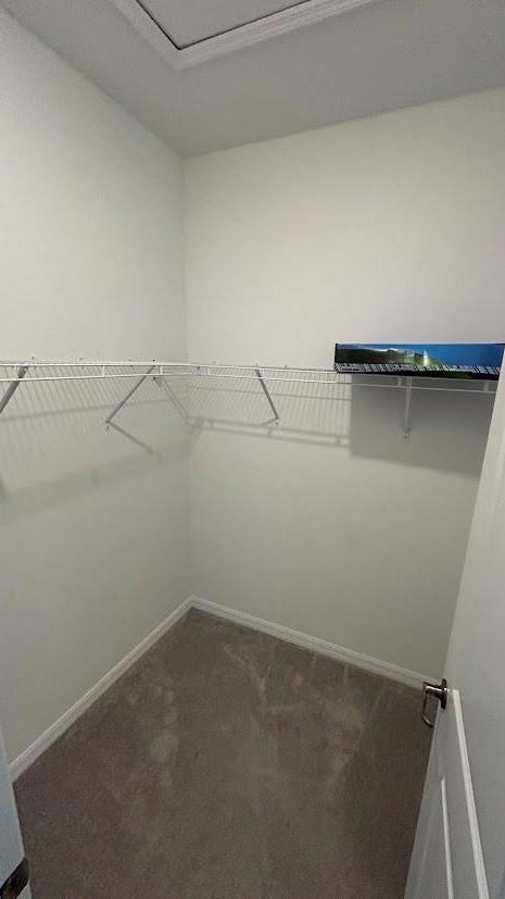 Photo #22