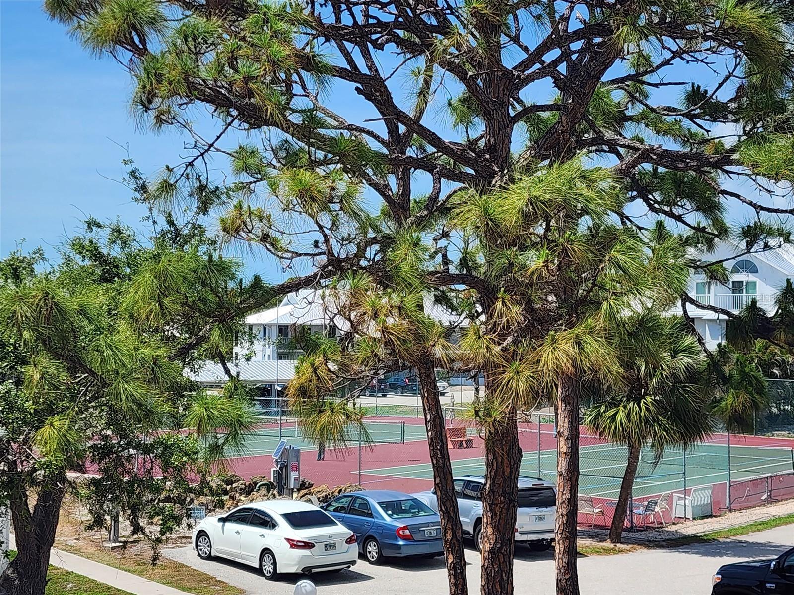 Photo #32