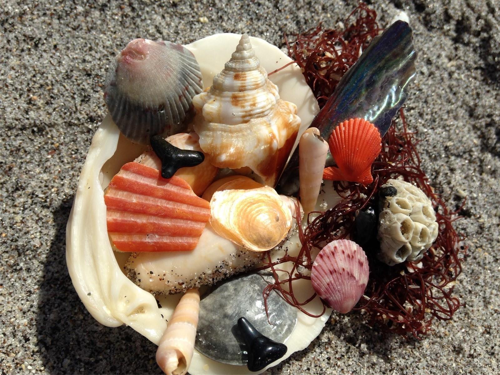 Photo #45