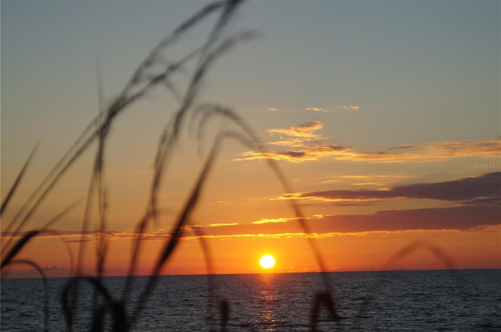 Photo #52
