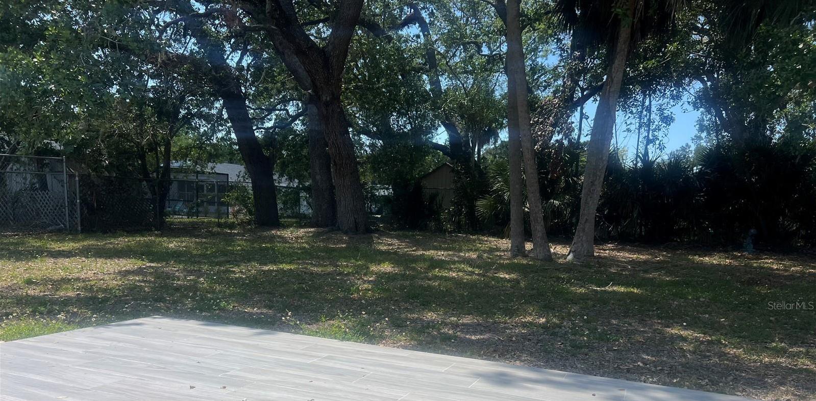 Photo #31