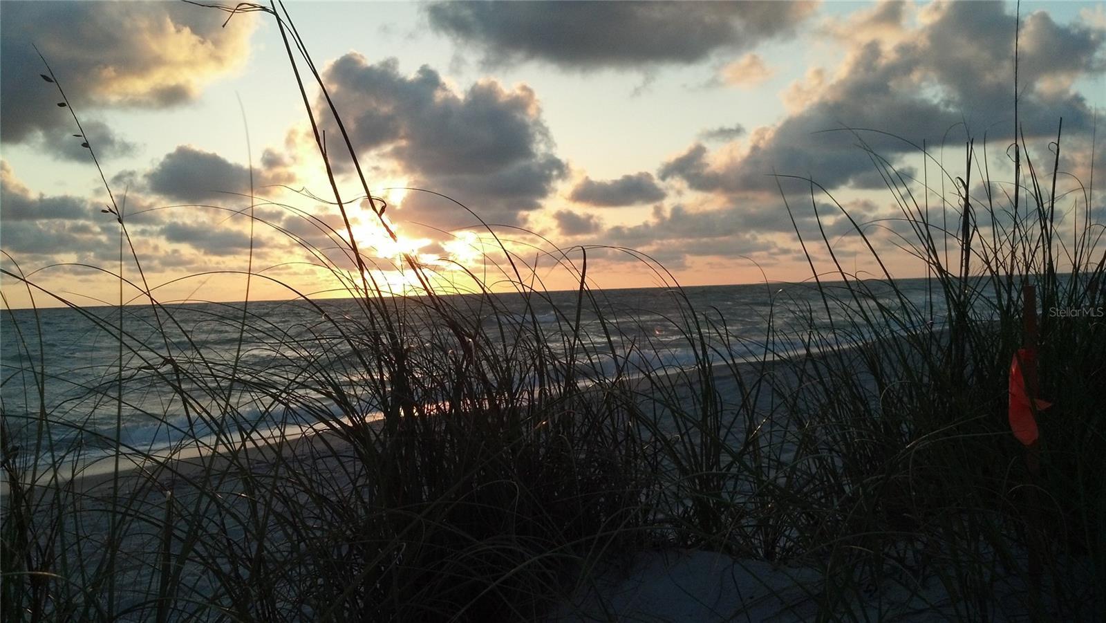 Photo #82