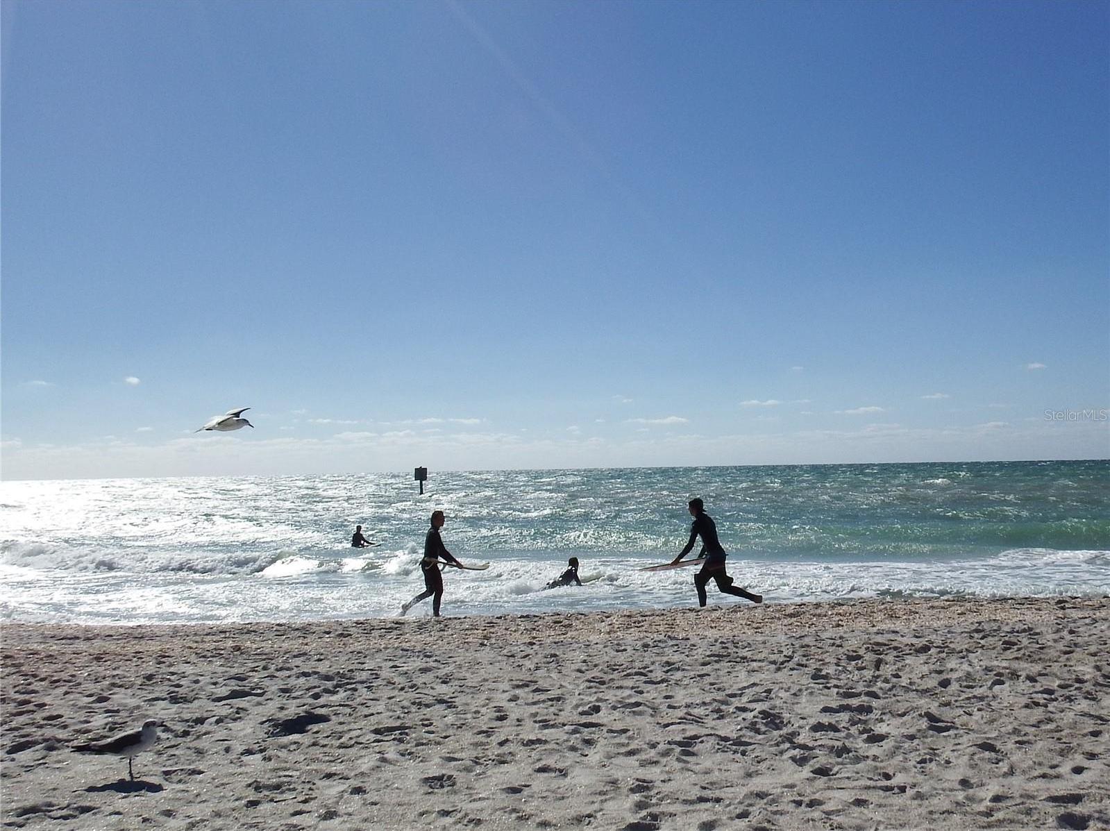 Photo #71