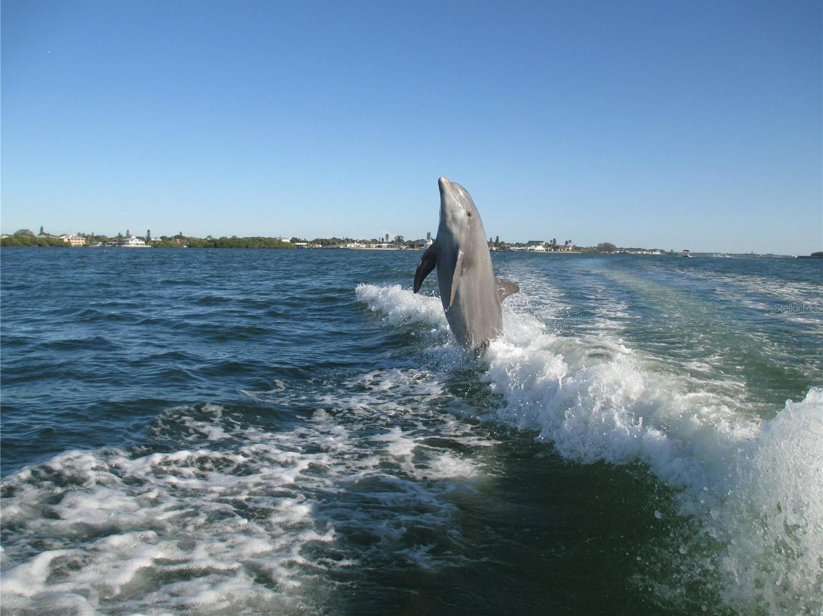 Photo #93