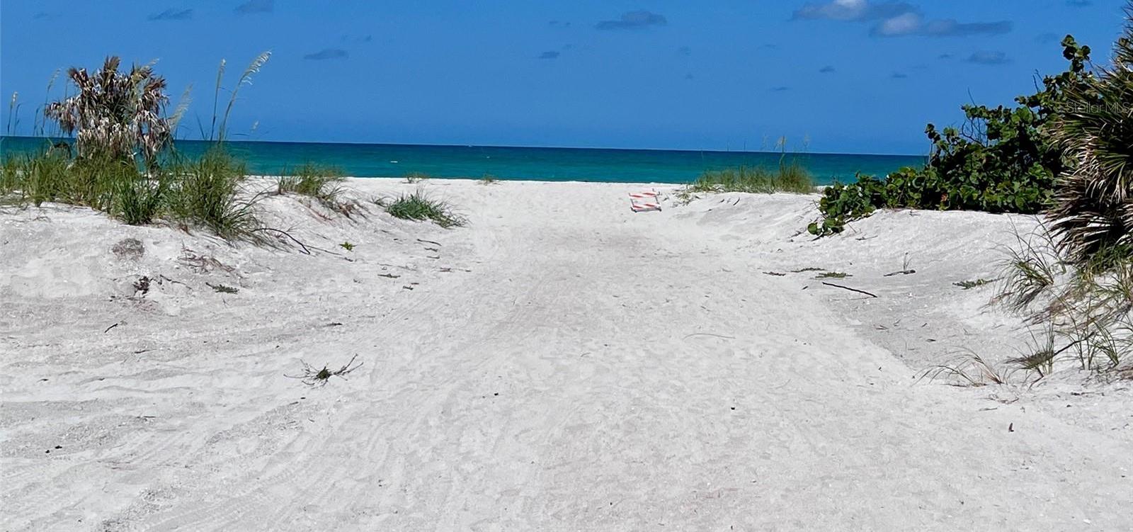 Photo #34