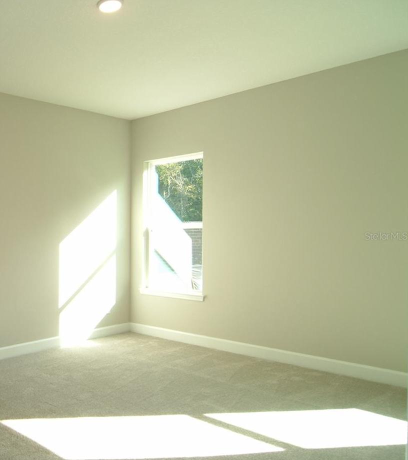 Photo #8