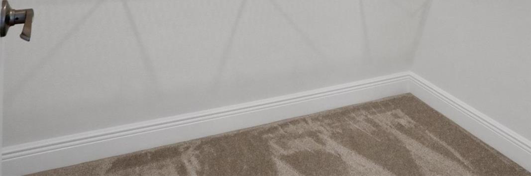 Photo #27