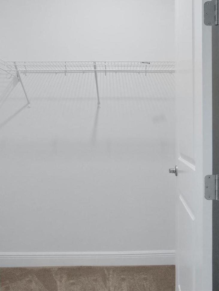 Photo #10