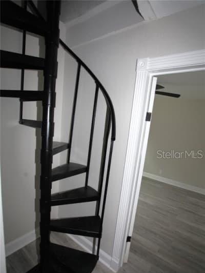 Photo #11