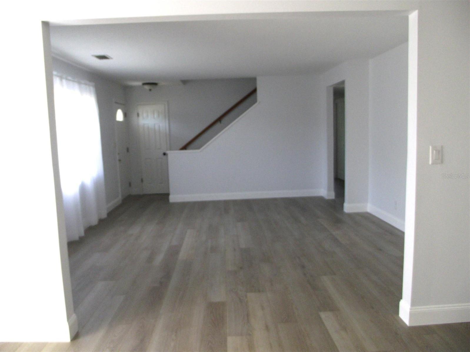 Photo #11
