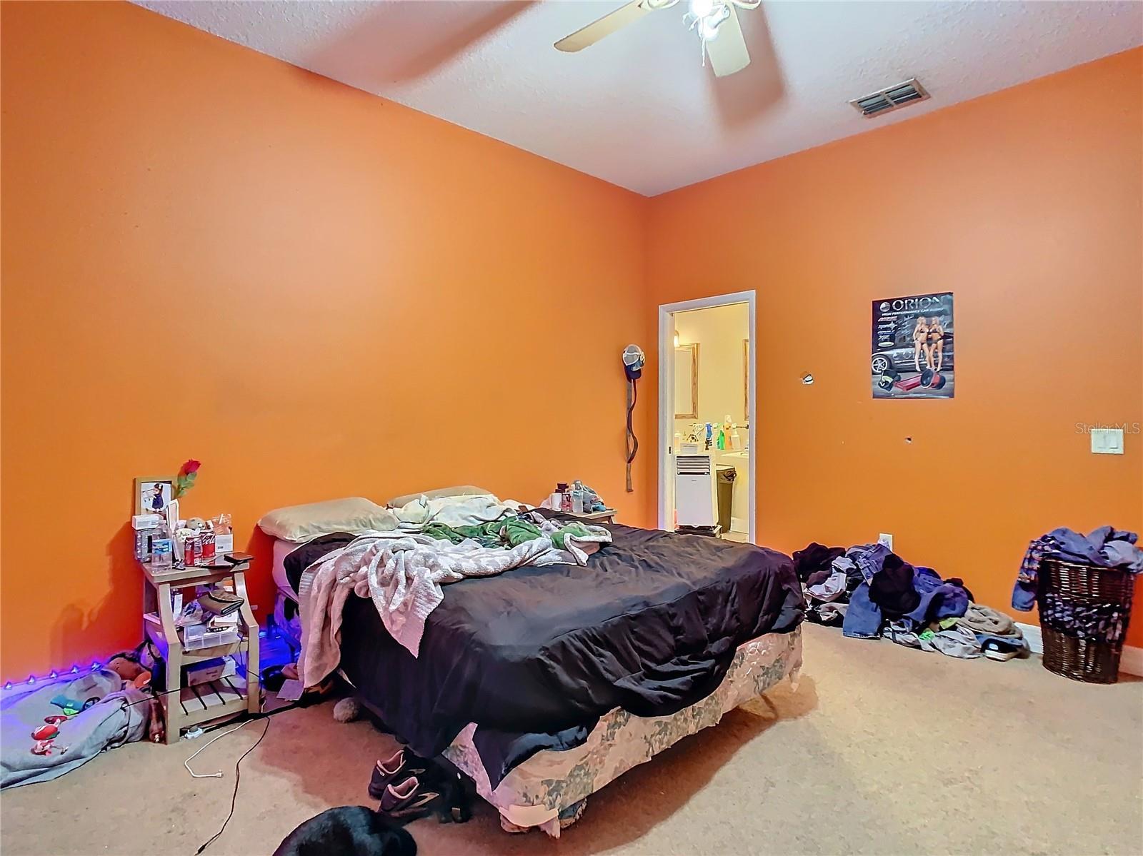 Photo #42
