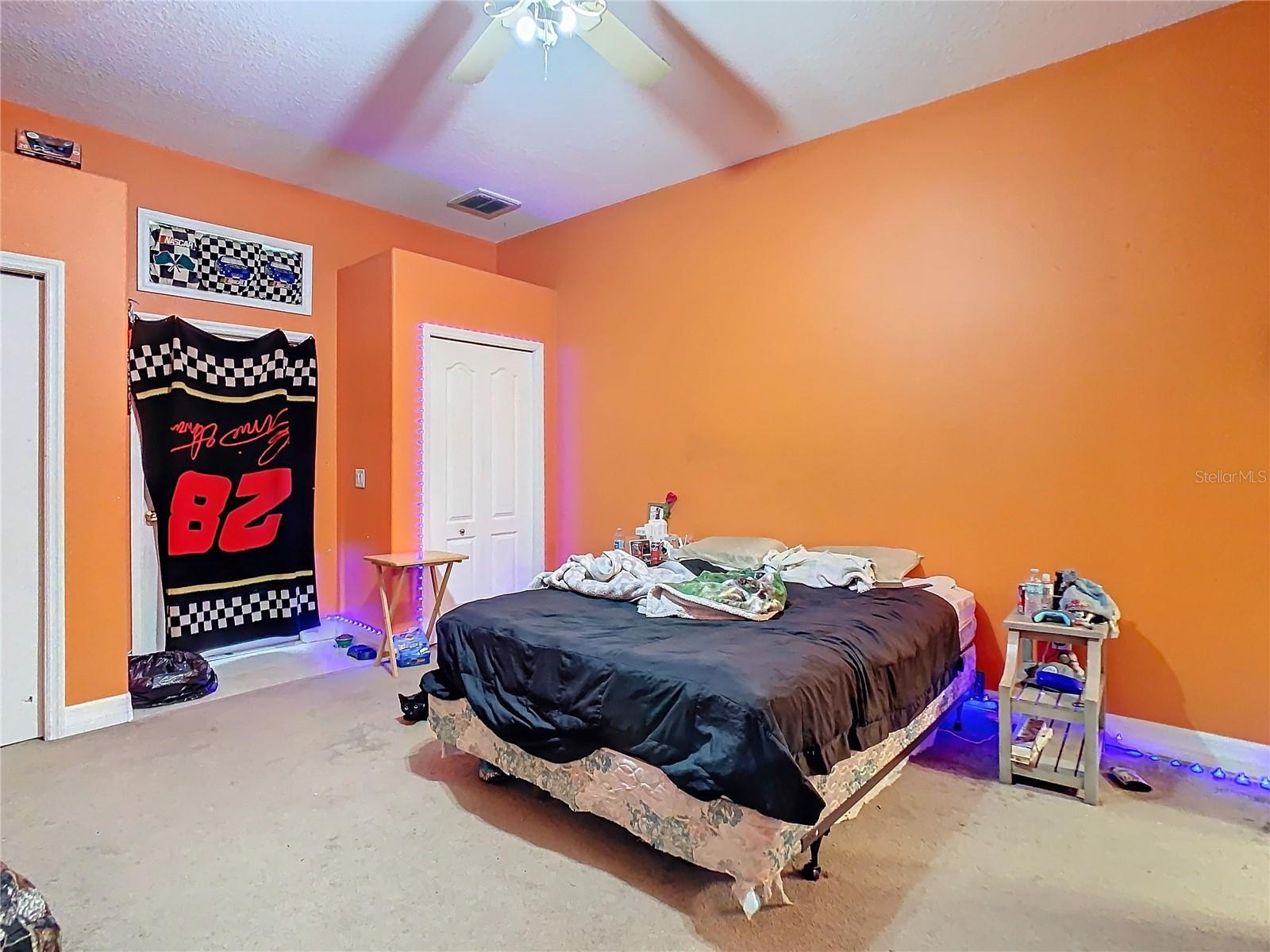 Photo #43