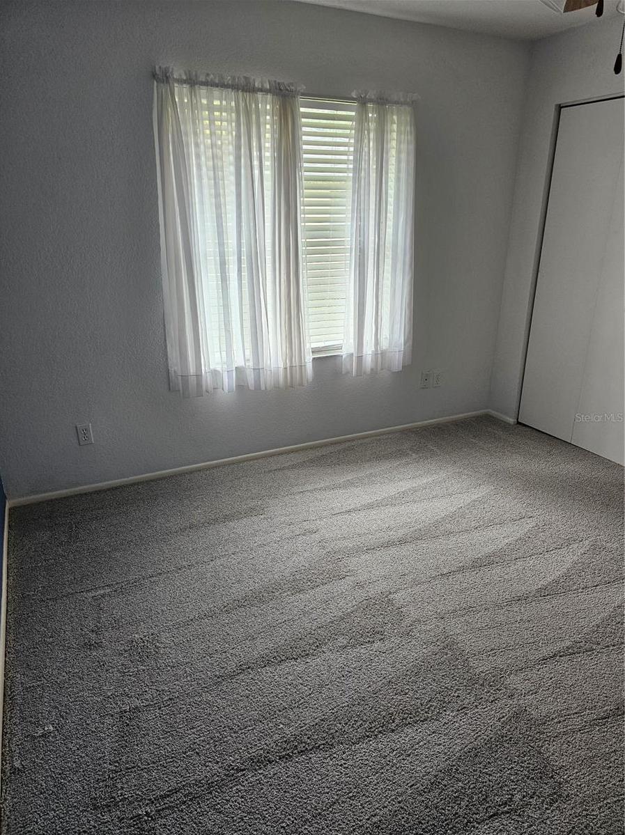 Photo #42