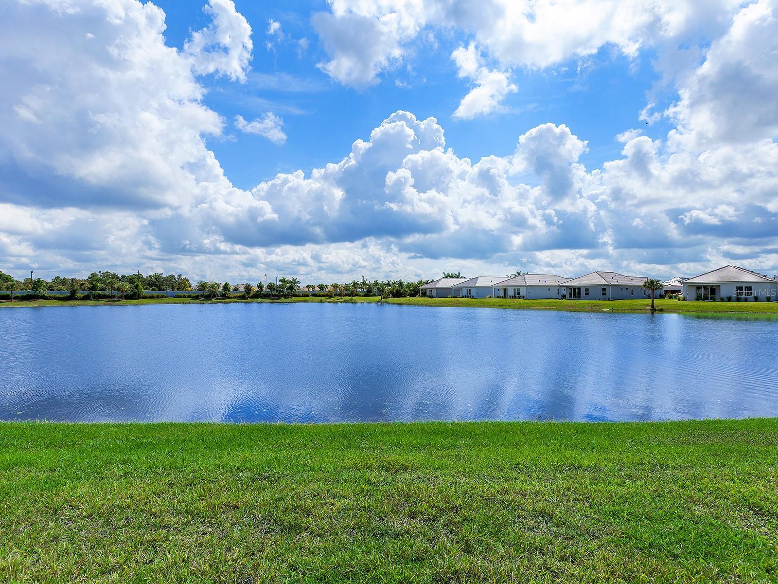 Photo #41