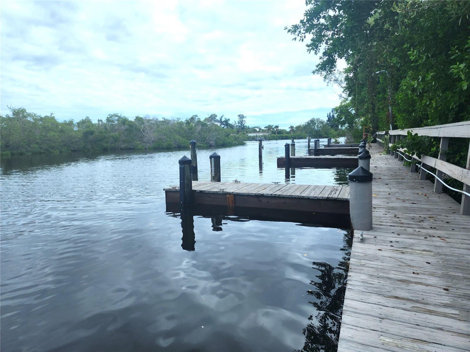 Photo #12
