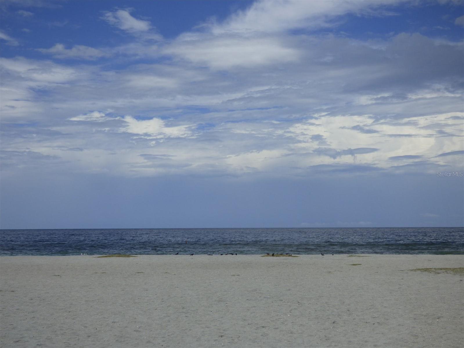Photo #26