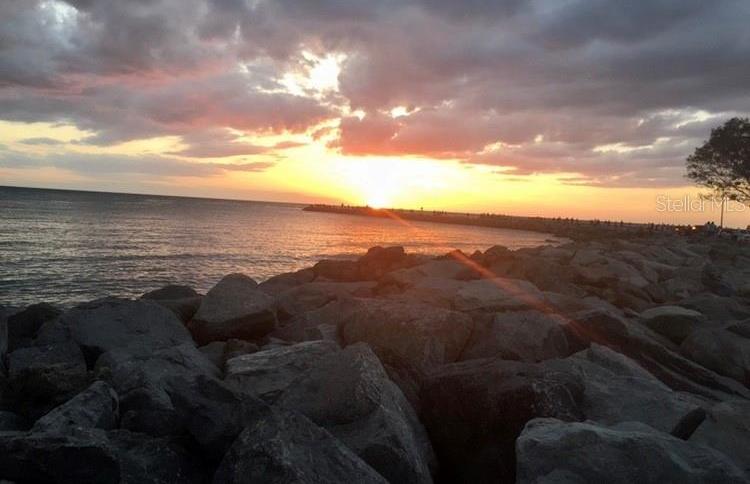 Photo #68