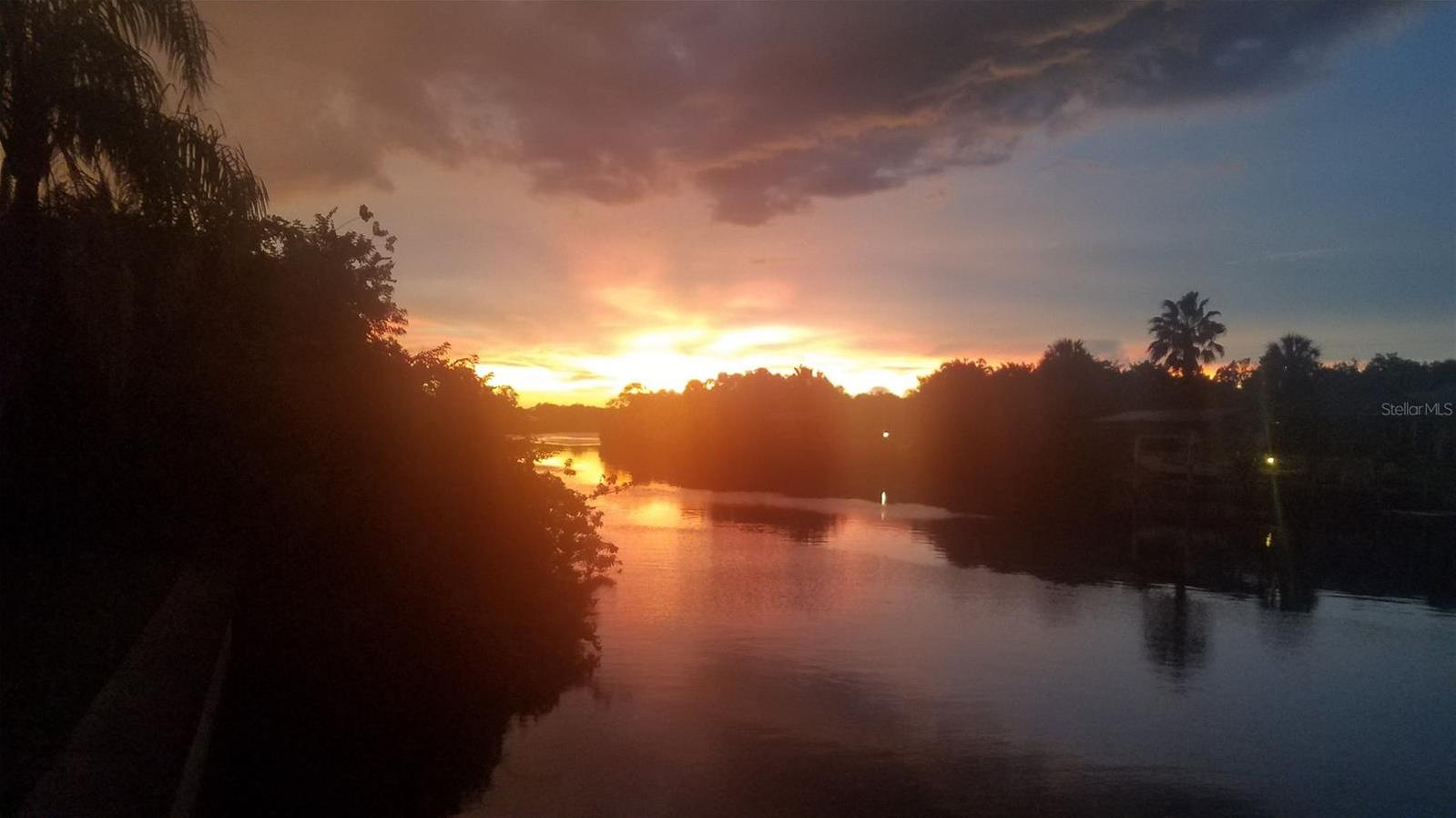 Photo #58