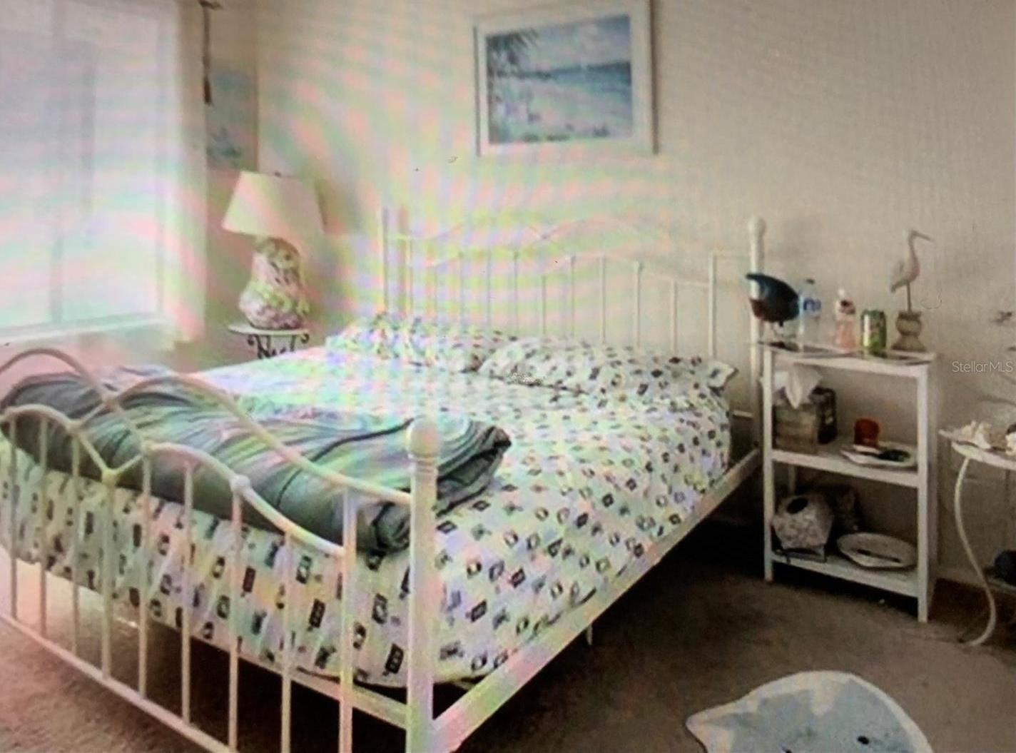 Photo #5