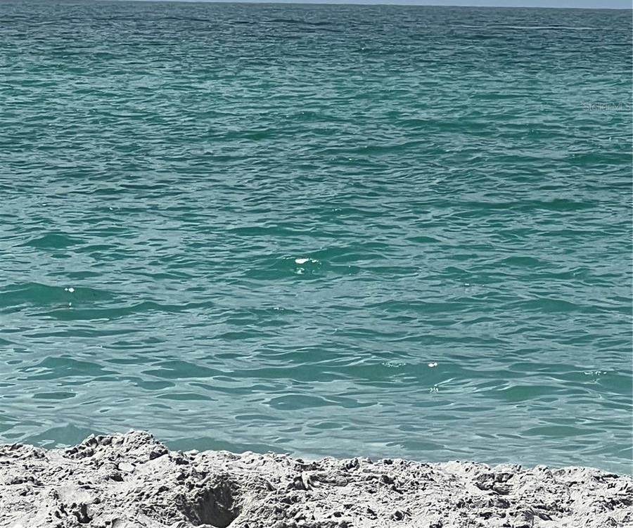 Photo #55