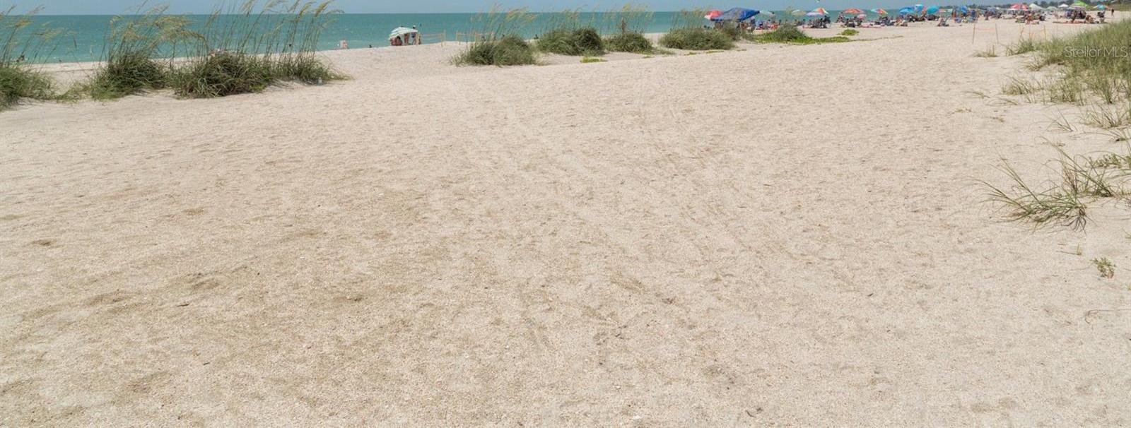 Photo #38