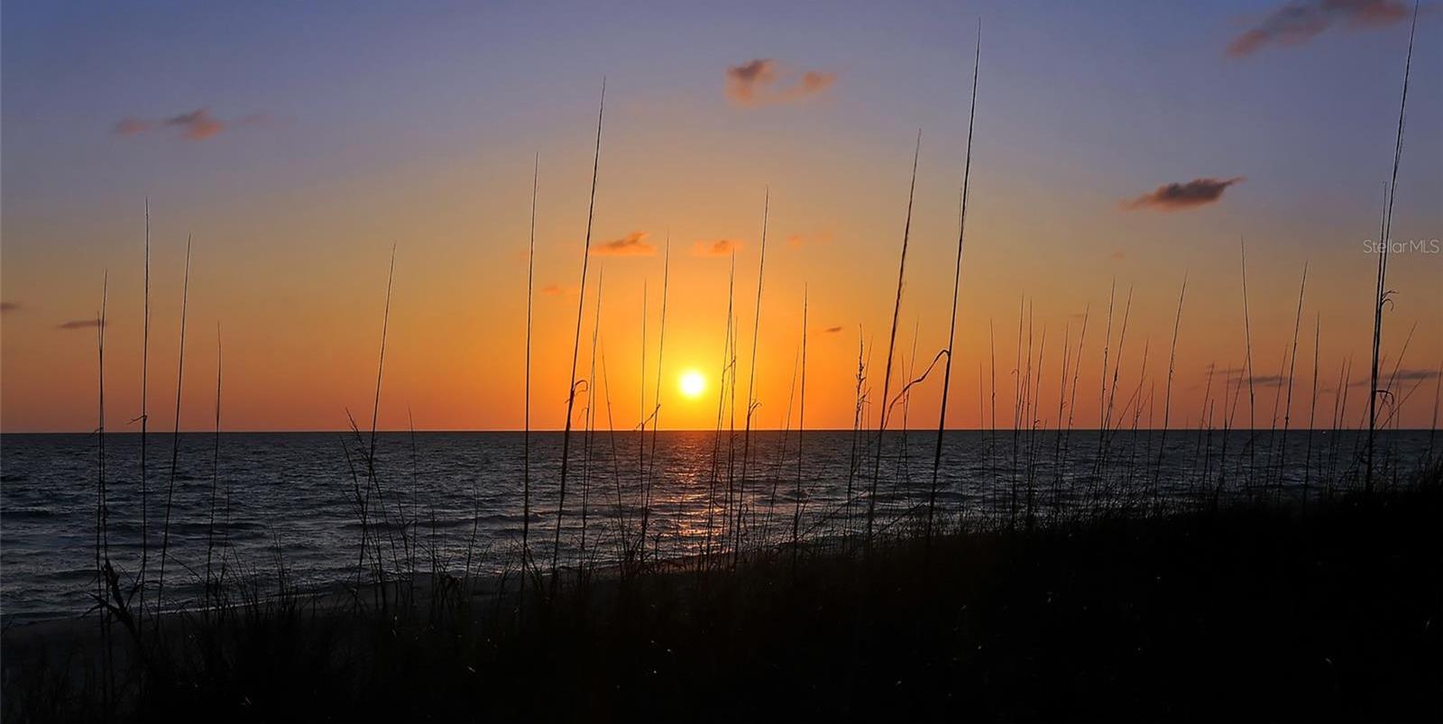 Photo #65