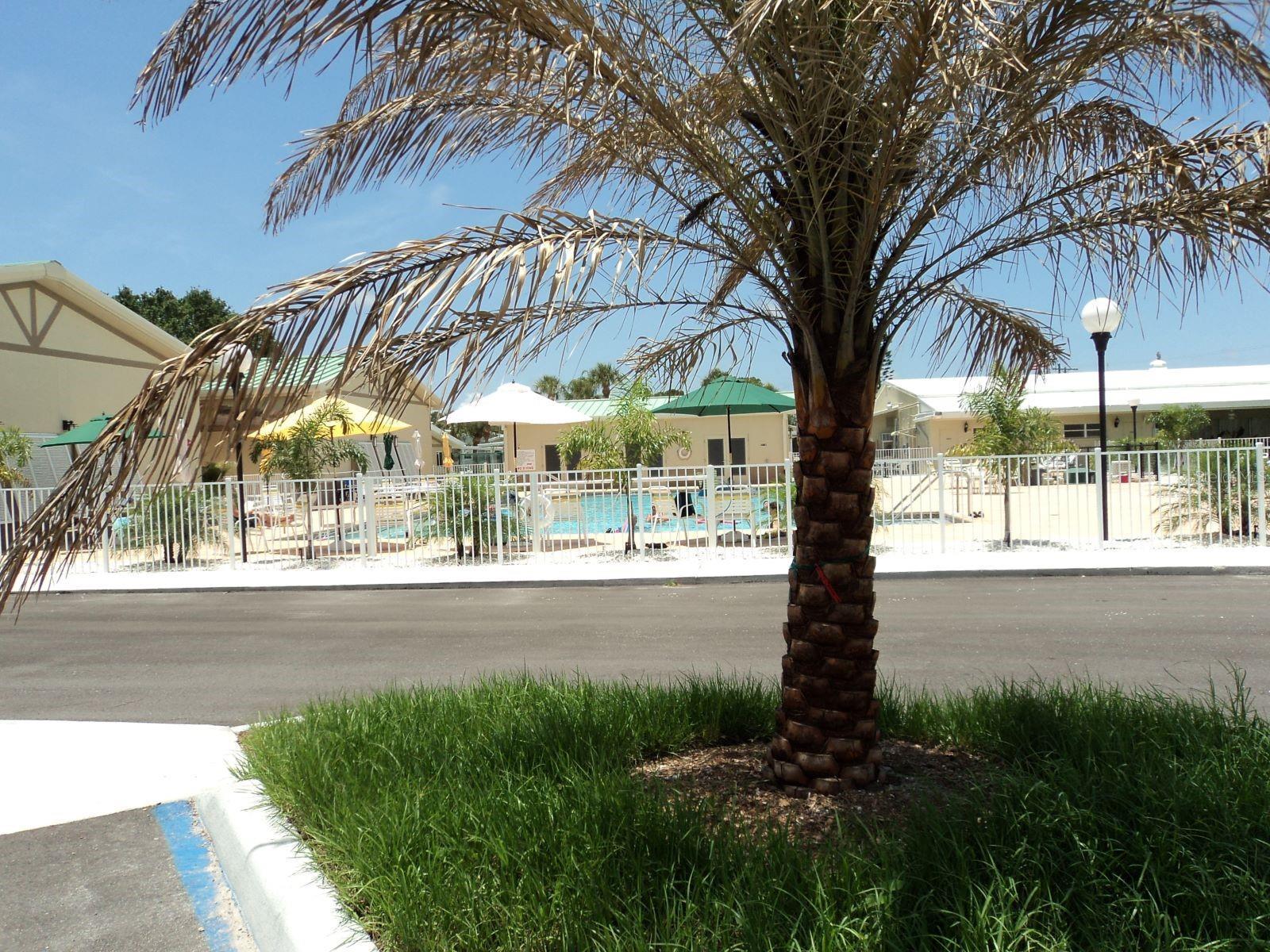 Photo #23
