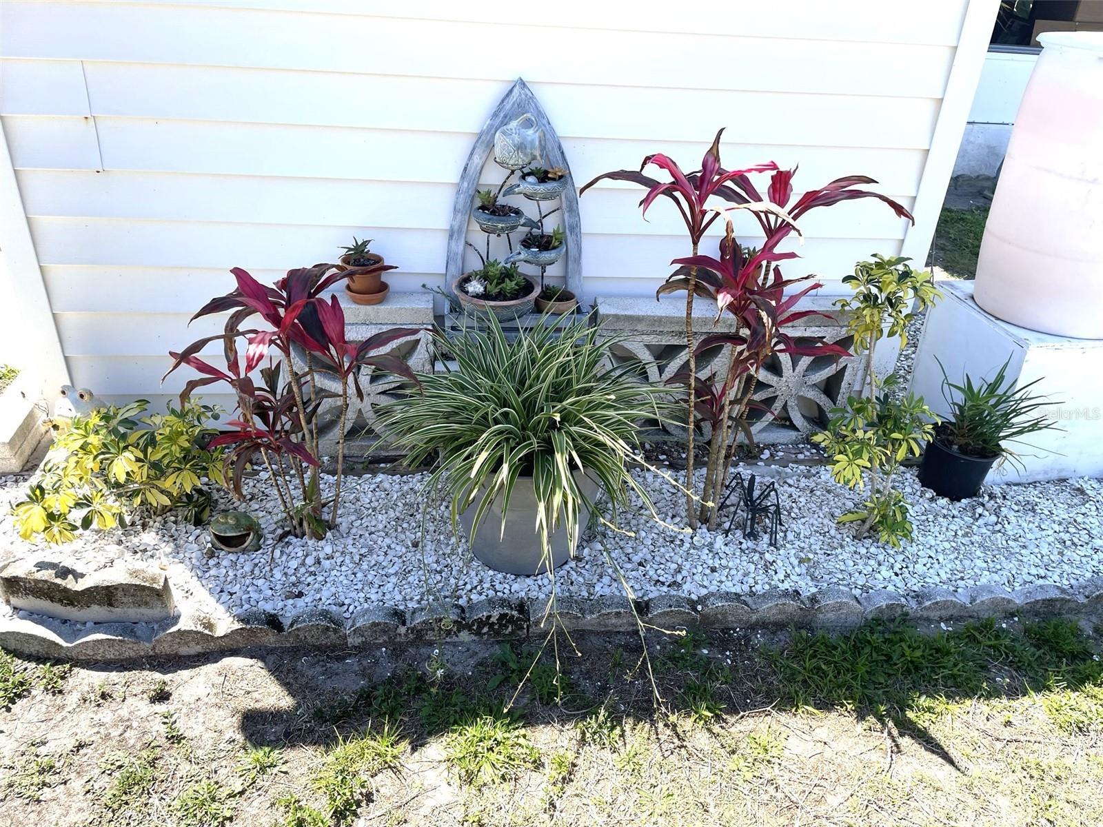 Photo #51