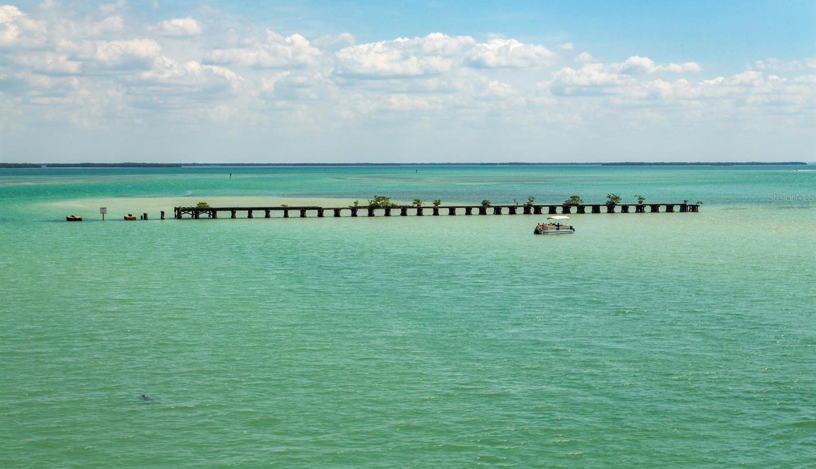 Photo #46