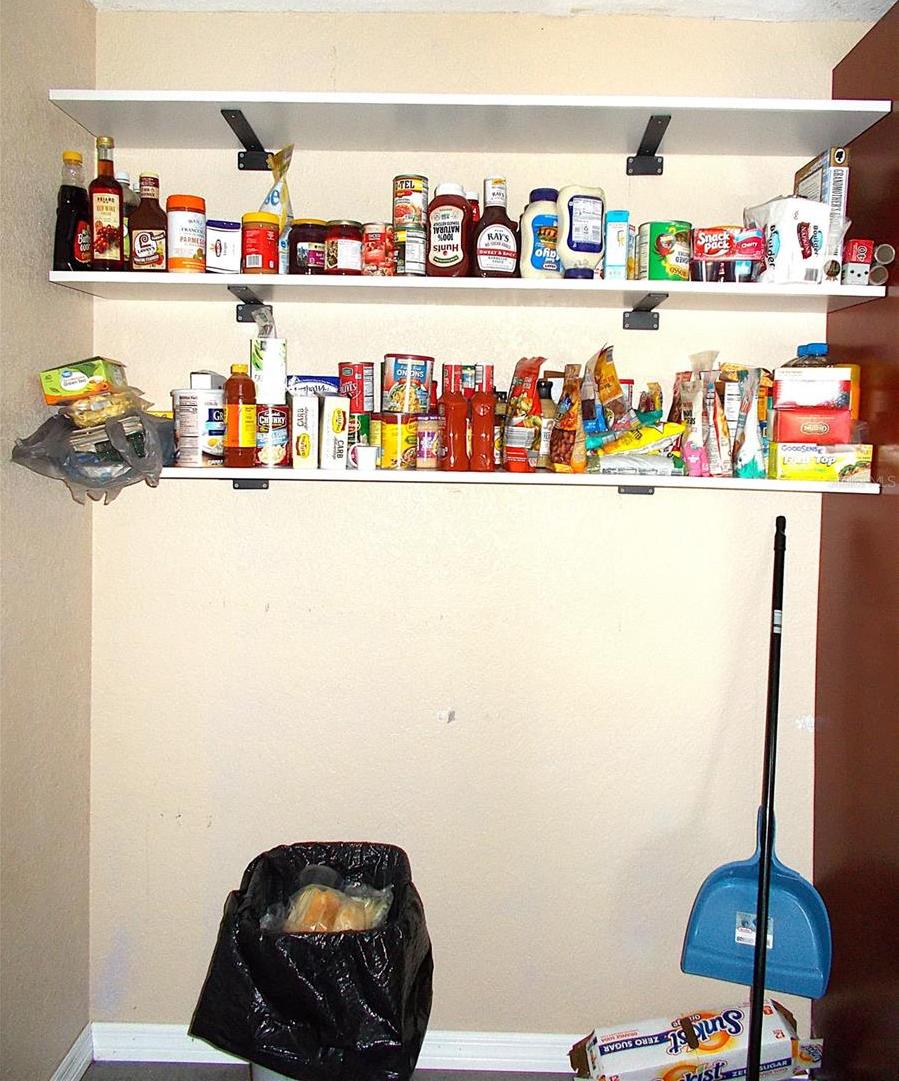 Photo #11