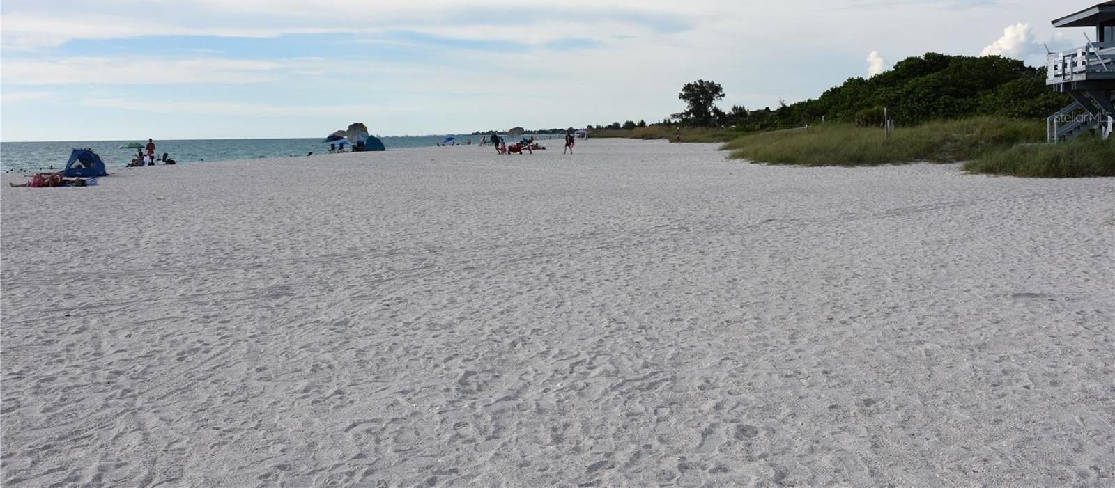 Photo #42