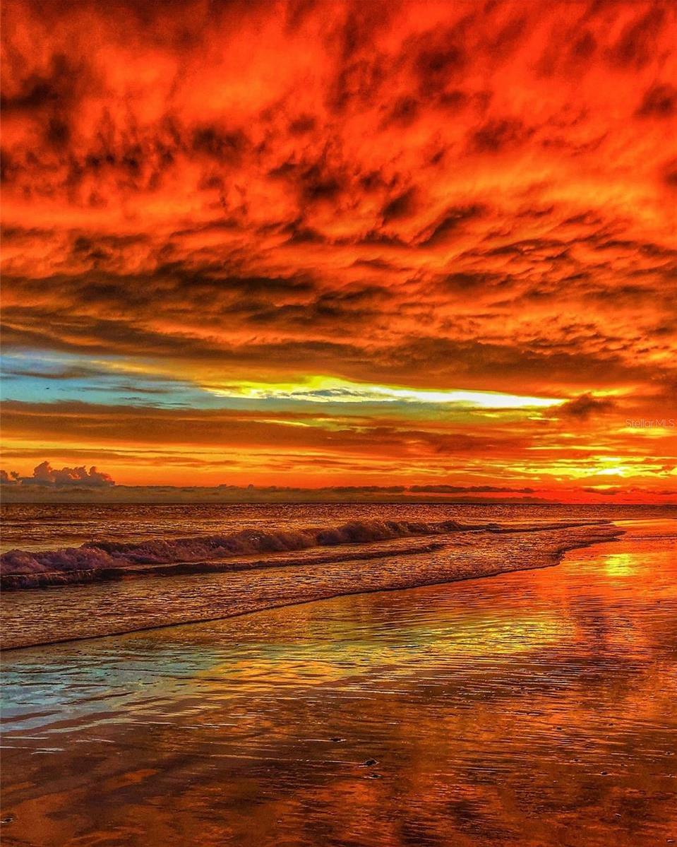 Photo #98