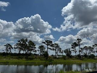 Photo #16
