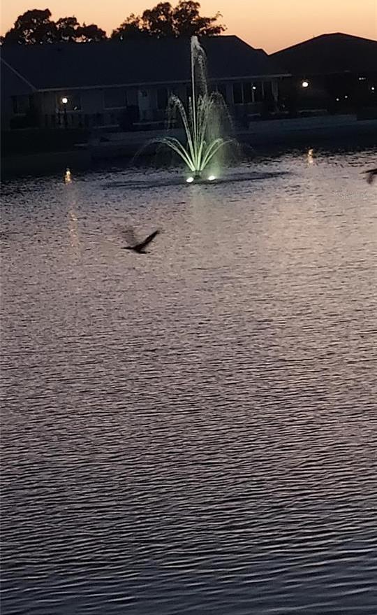 Photo #39