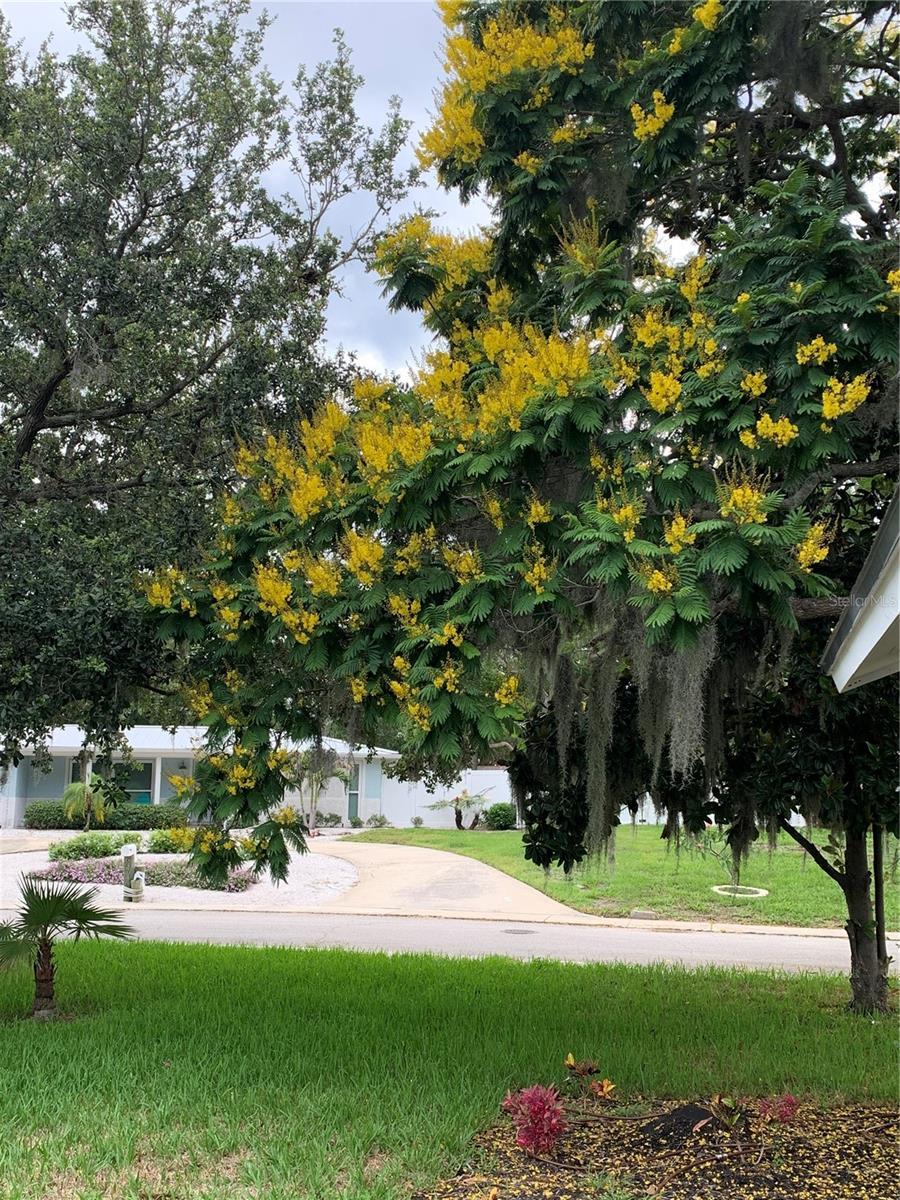 Photo #42