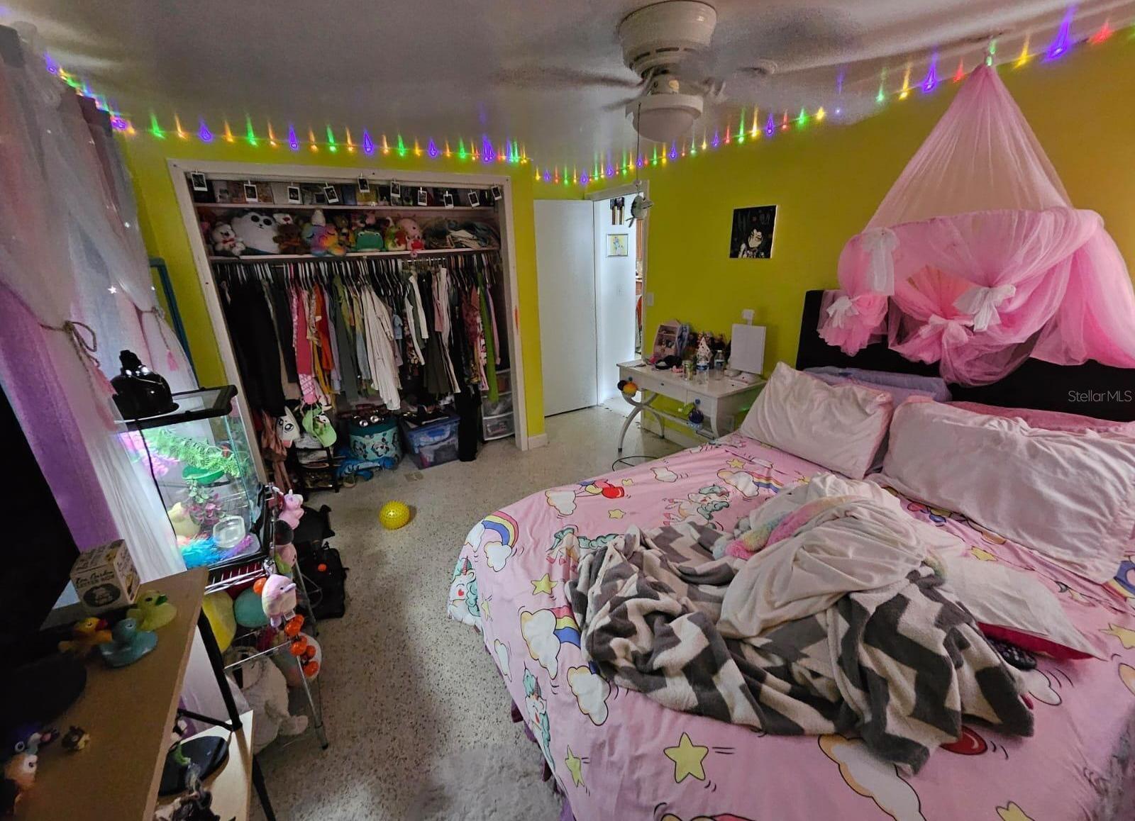 Photo #16