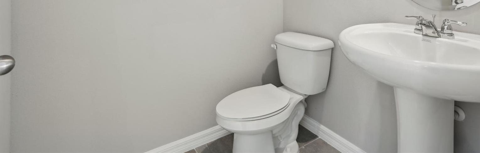 Photo #14